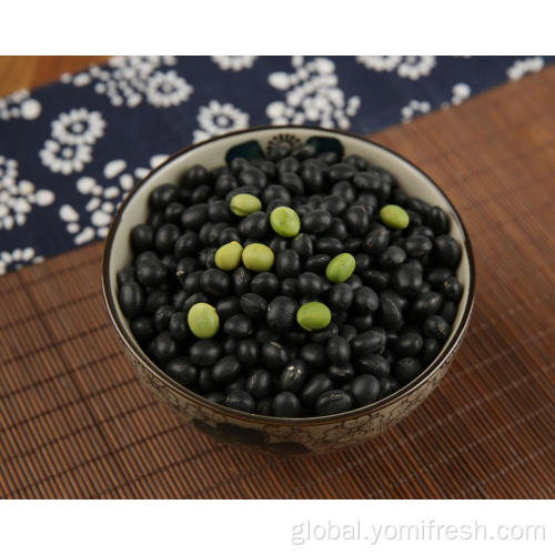 China Healthiest Beans To Eat Manufactory